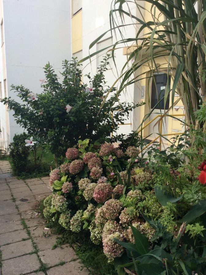 Jardim Das Flores Φάρο Εξωτερικό φωτογραφία